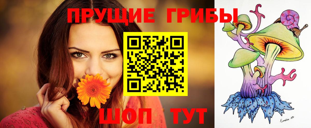 Ярцево  Псилоцибиновые грибы Psilocybe  где купить наркотик  Вход с VPN 